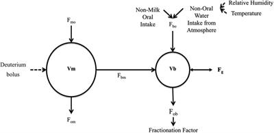 Effects of variations in atmospheric temperature and humidity on the estimation of exclusive breastfeeding status using the deuterium oxide dose-to-mother technique